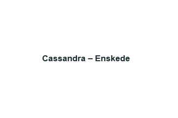Omdöme Recension TC Elektriska